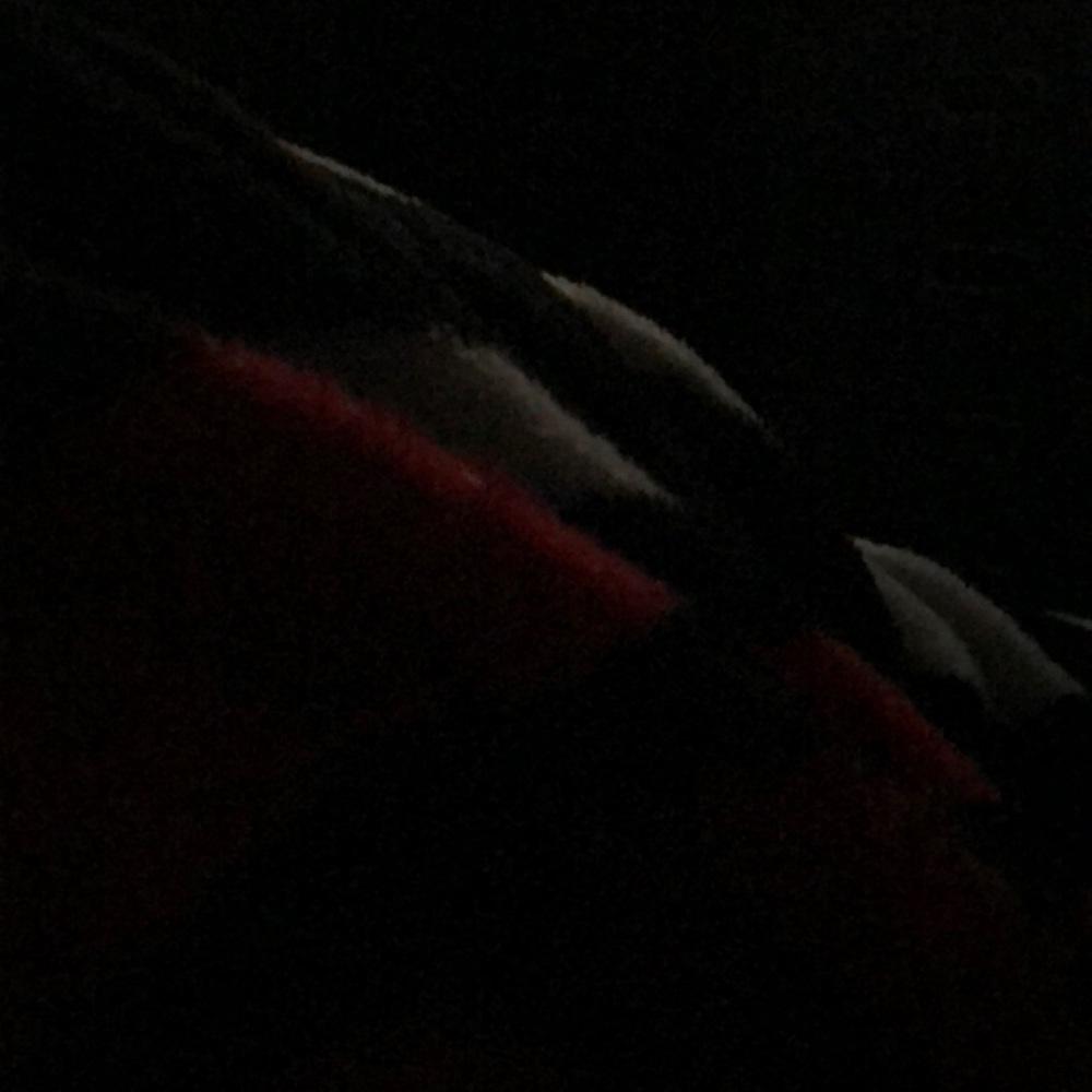 Meet your Posher, Mary